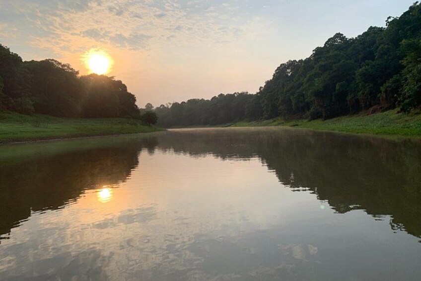 Nature Safari 4