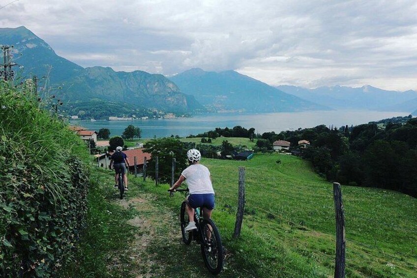 A mountain biking trail with lush greenery and a lake in the background. 2