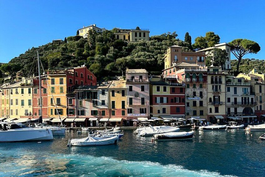 Private Portofino & Santa Margherita Tour: Scenic Riviera Gems 4