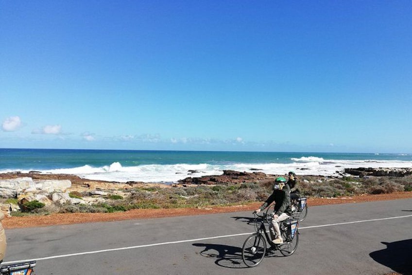 Cape Peninsula E-bike Cycle with Vehicle - Private Tour 3