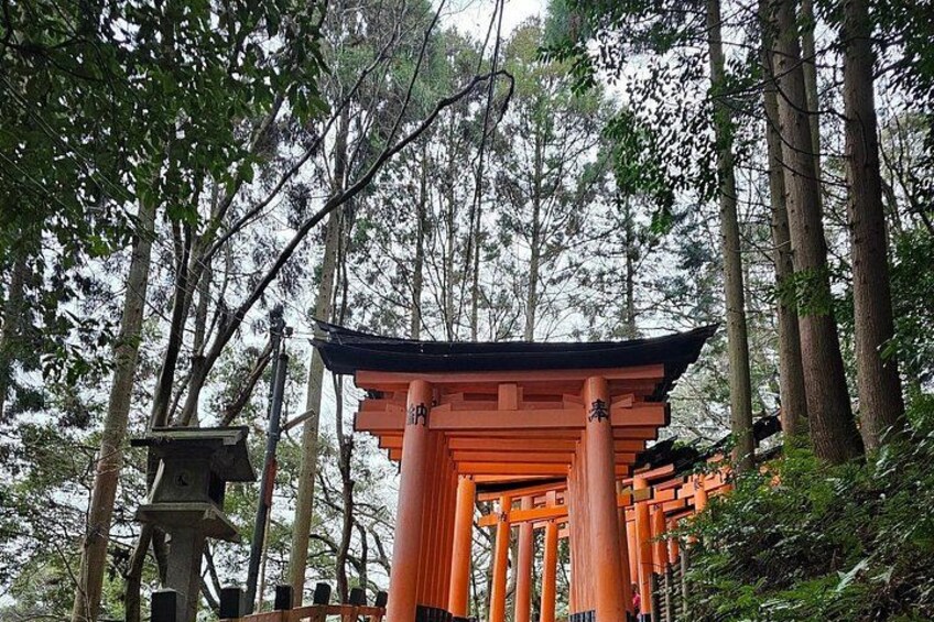 Mt. Fuji Day Trip from Tokyo with English Speaking Driver Guide 2