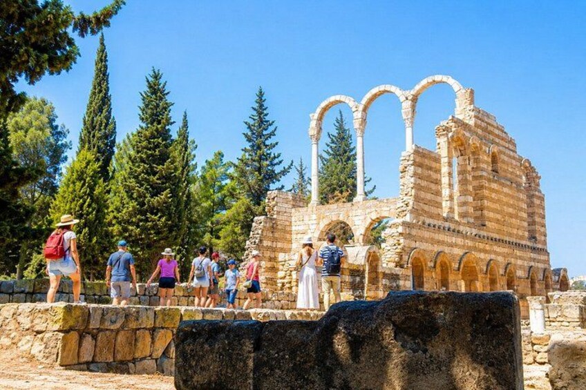 Bekaa Valley Small Group Tour: Baalbek, Anjar & Wine Tasting 3
