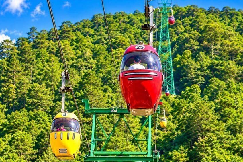 Two cable cars, one red and one yellow, suspended by cables against a backdrop of a dense forest. 1