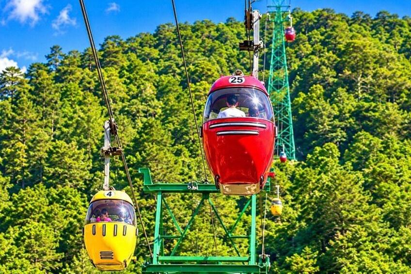 Two red cable cars suspended by cables against a backdrop of dense green forest. 3