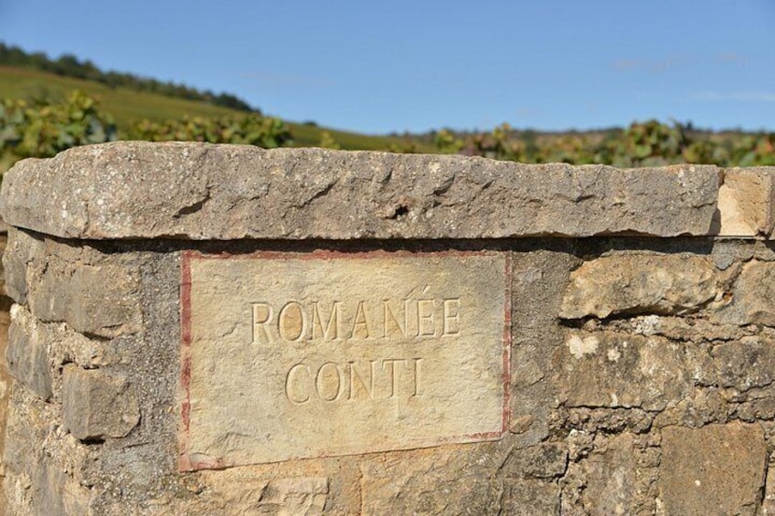 La Romanée Conti, the world most expensive wine 4