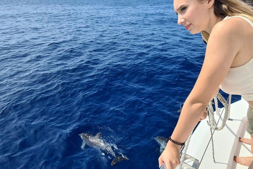 VipDolphins Luxury Whale Watching 2