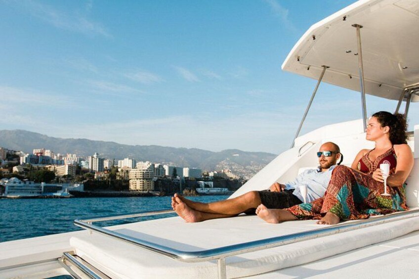 VipDolphins Luxury Whale Watching 5