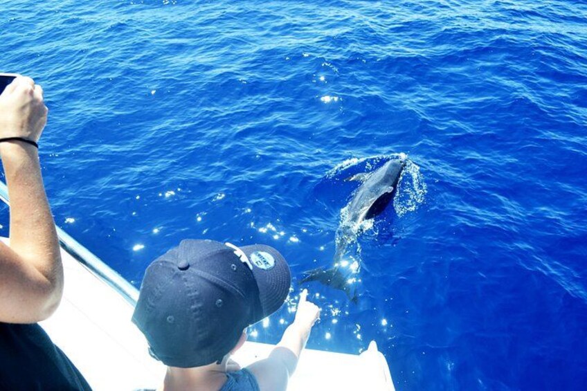 VipDolphins Luxury Whale Watching 3