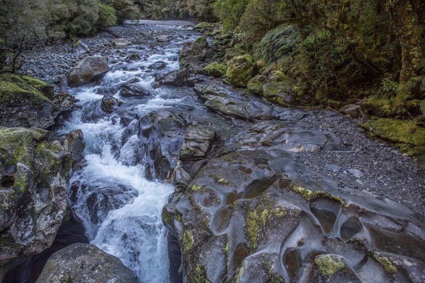 A rocky stream with flowing water surrounded by moss-covered rocks and dense greenery. 2