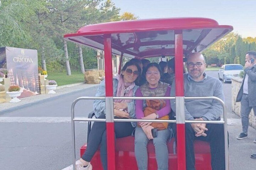 Un tramway rouge transportant des passagers, une pancarte indiquant « CRICOVA », et une route bordée d’arbres avec un bâtiment en arrière-plan. 5