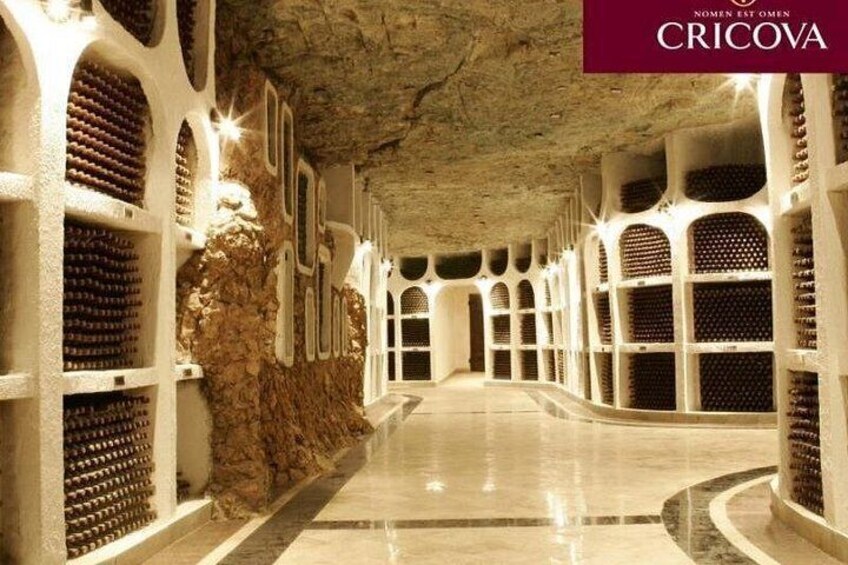 Une cave à vin aux murs de pierre et aux étagères à bouteilles. 4