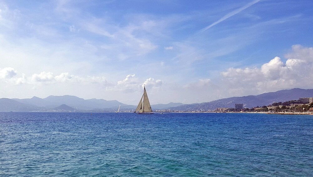Photogenic Cannes with a Local 5