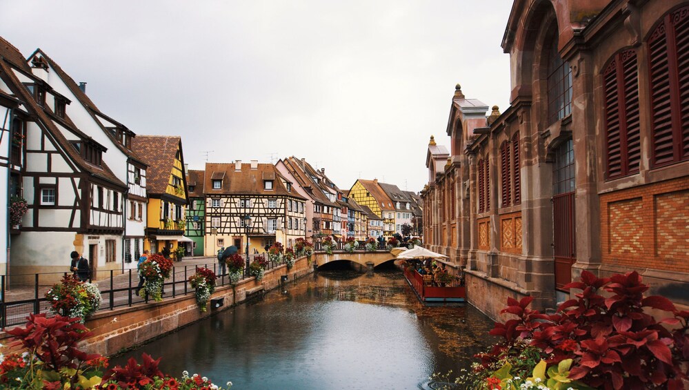 Photogenic Colmar with a Local 4