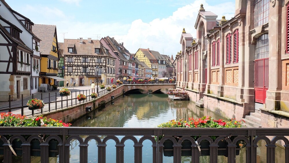 Photogenic Colmar with a Local 2