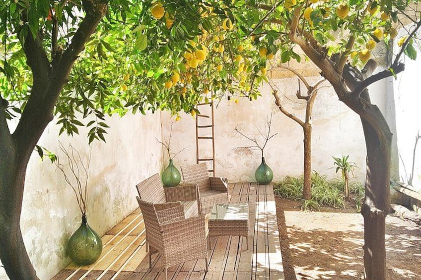 Une terrasse extérieure avec des meubles en osier, une table en bois et deux vases verts. 2