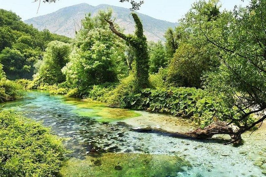 Blue Eye Springs 2