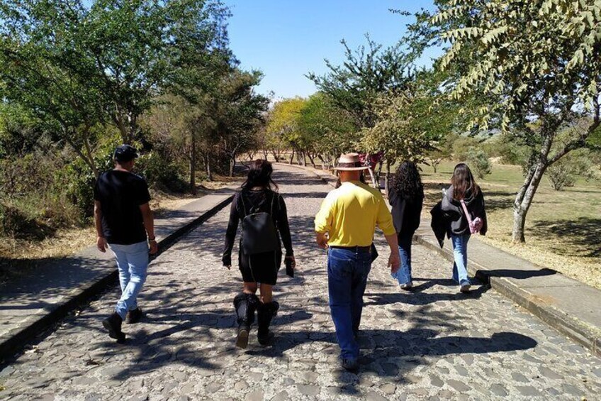 A group of people walking on a paved path surrounded by trees. 3
