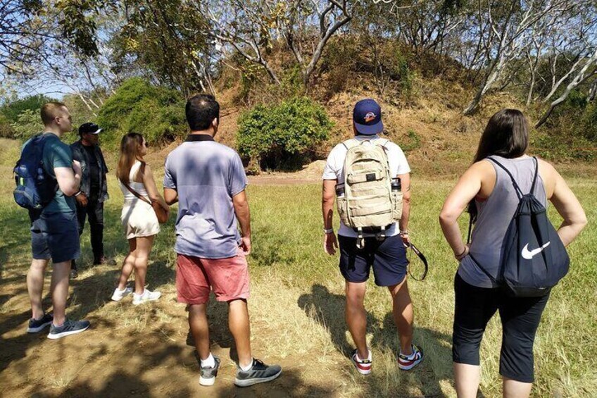 A group of people hiking in a grassy area with trees in the background. 2