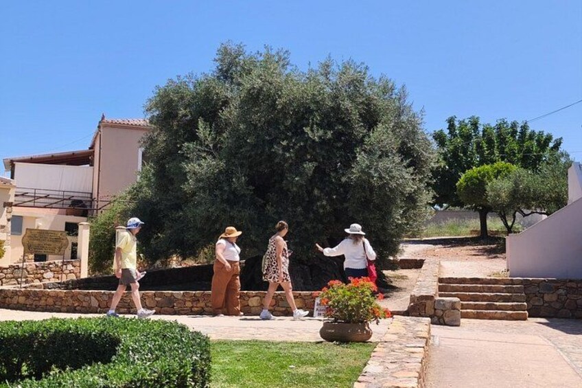 Four people walking on a stone pathway, surrounded by greenery and buildings. 1