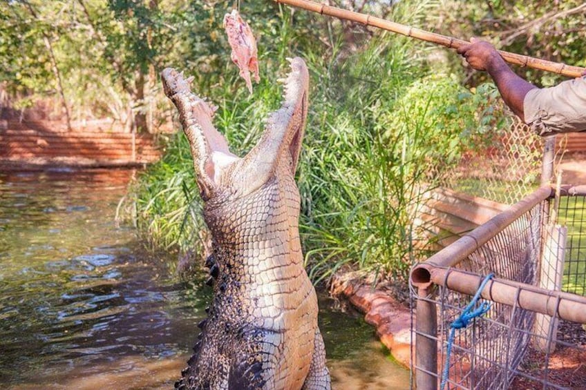 Top 3 things to do in Broome 3