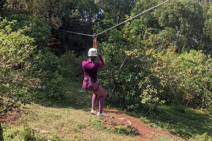 Una persona haciendo tirolesa a través de un área boscosa. 4