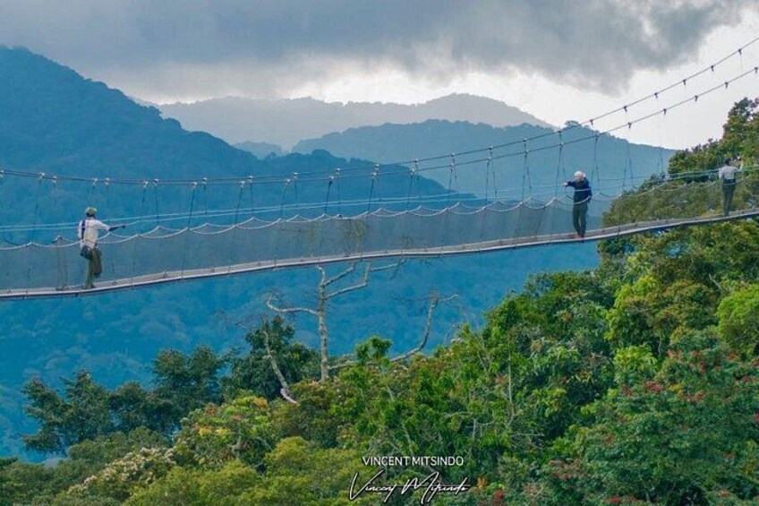 Un puente colgante con gente caminando sobre él, rodeado de montañas verdes exuberantes y un cielo nublado. 1