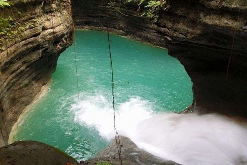 Kawasan Canyoneering, Kawasan Falls and Whaleshark Encounter 1
