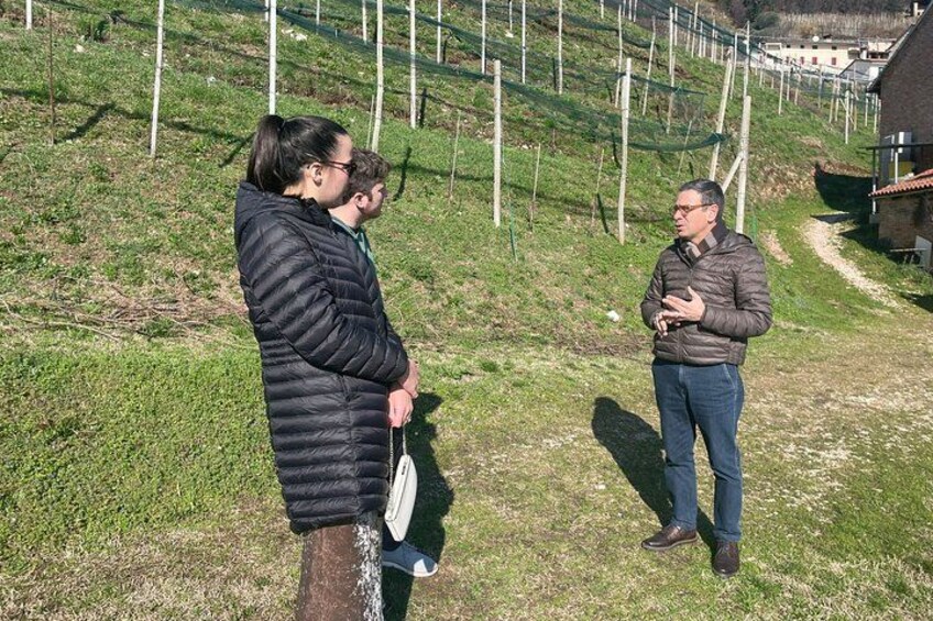 Prosecco Wine Tour with Sommelier – Pick-up from Treviso 2