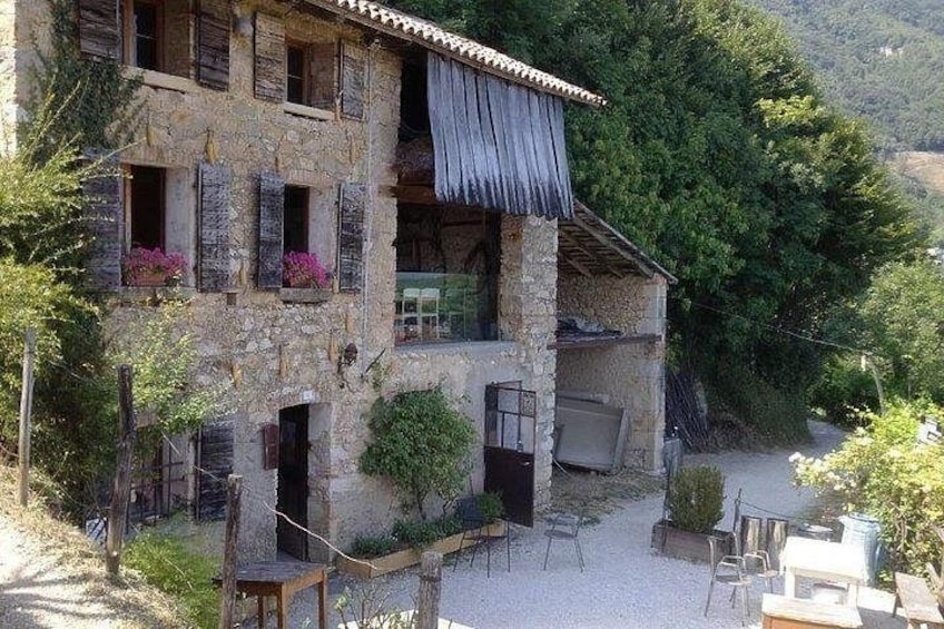 Prosecco Wine Tour with Sommelier – Pick-up from Treviso 5