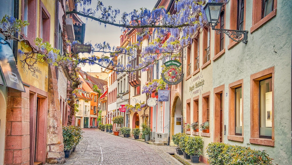 The Instagrammable Places of Freiburg with a Local 5