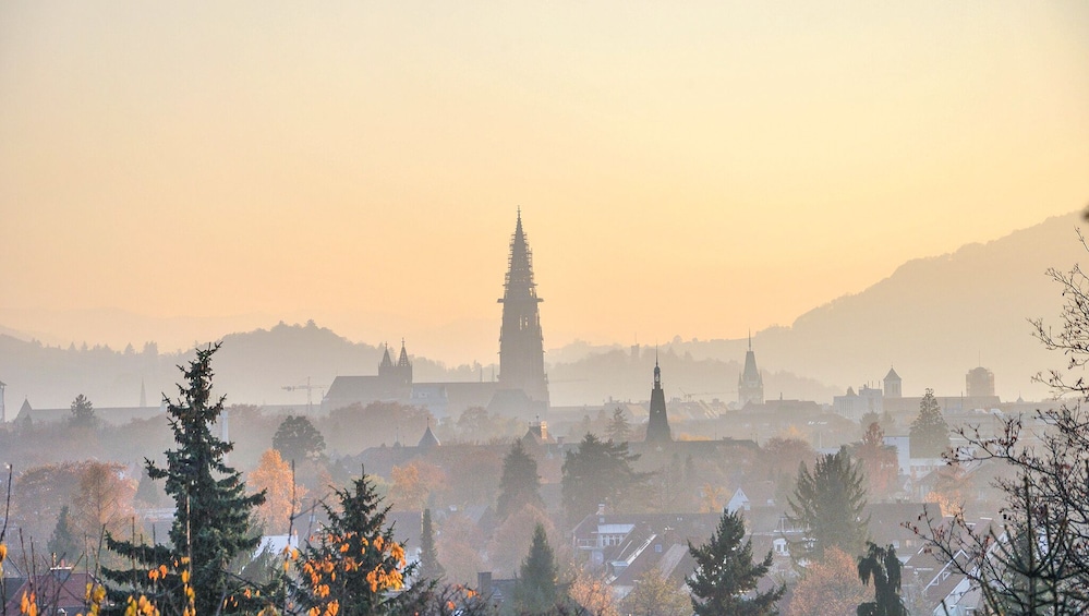 The Instagrammable Places of Freiburg with a Local 3