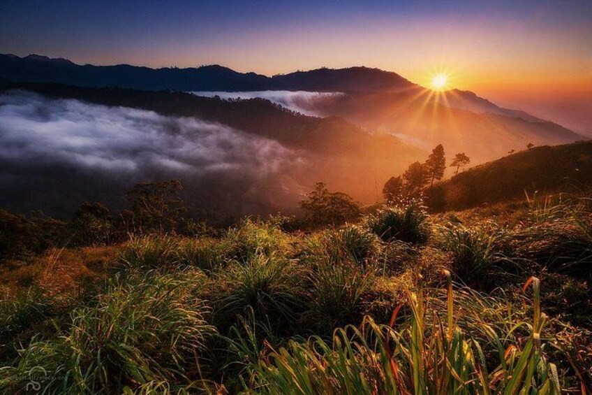 Trekking Adam's Peak Safari & Night Life at Adam's Peak. 2