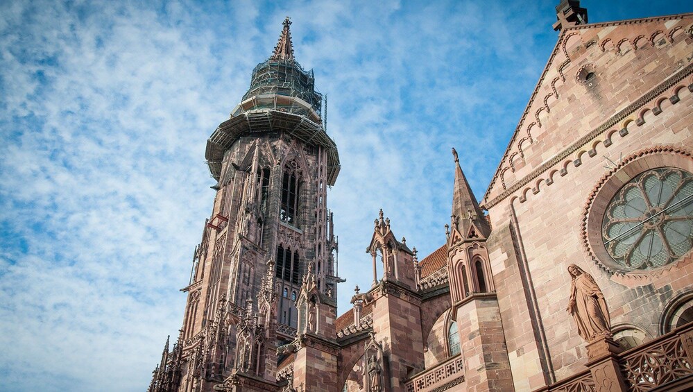Photogenic Freiburg with a Local 5