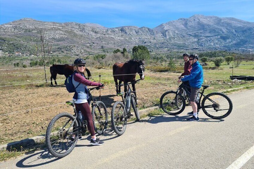 E-Bike Tour + Gourmet Lunch + Old Mill Presentation + Wine Tasting 