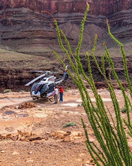 Un elicottero su un terreno roccioso con un canyon sullo sfondo. 5