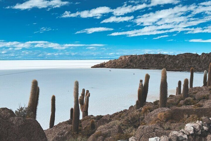 Woestijnlandschap met cactussen en een waterlichaam. 2