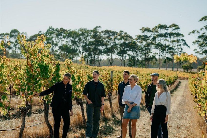 Behind The Scenes Tour with Food & Wine Pairing 4