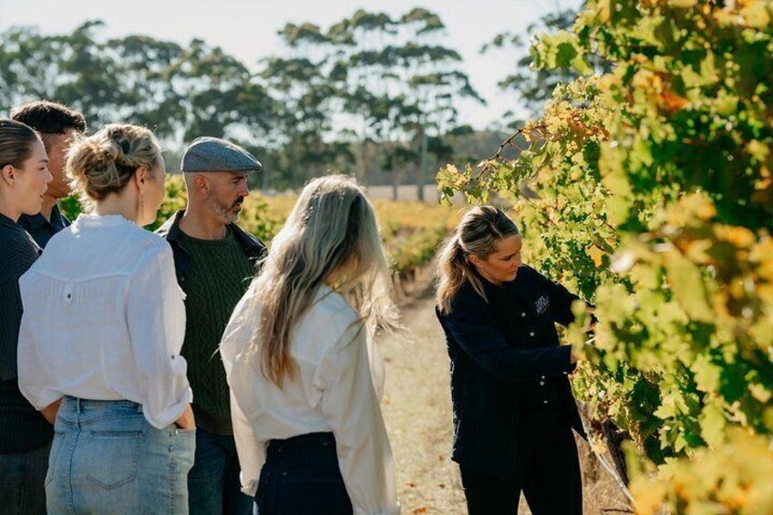 Behind The Scenes Tour with Food & Wine Pairing 5