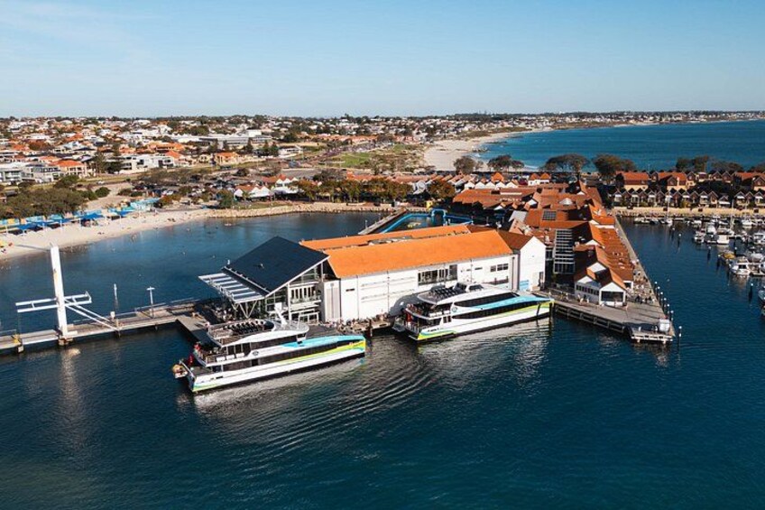 Rottnest Bayseeker Bus Tour from Hillarys Boat Harbour 2