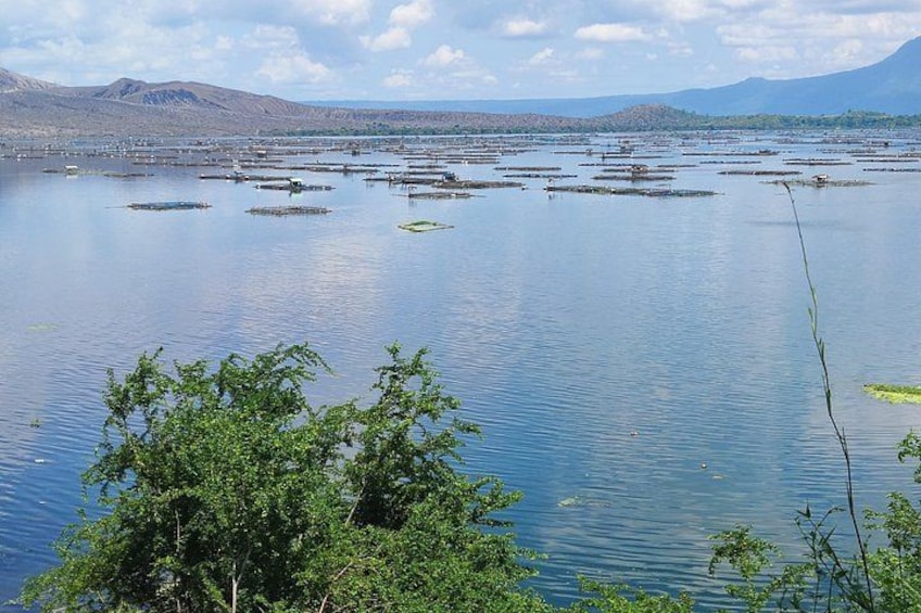 Un lac paisible, parsemé de végétation flottante, entouré de montagnes et bordé d’un ciel dégagé. 2