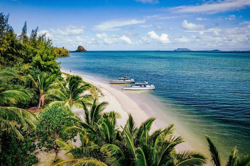 Whitsundays Premium Private Charter - Axopar 37 'Cheeky' 2