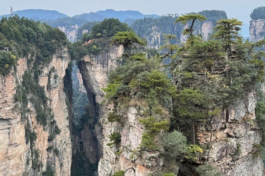 A canyon with steep cliffs and dense trees. 2
