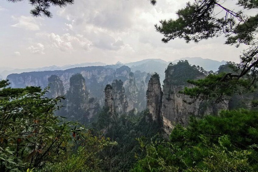 Paesaggio con alte e strette formazioni rocciose immerse in fitta vegetazione verde. 2