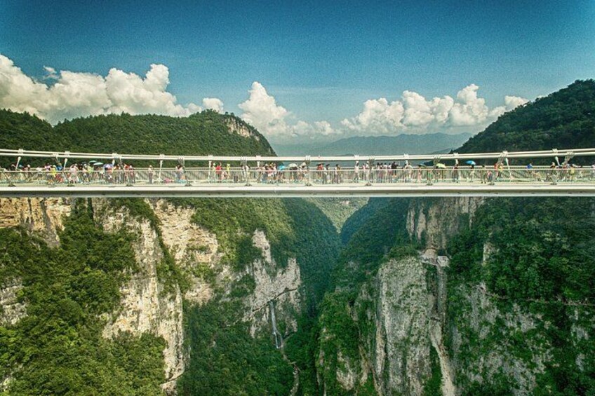 A suspension bridge over a deep gorge with lush greenery on either side. 4