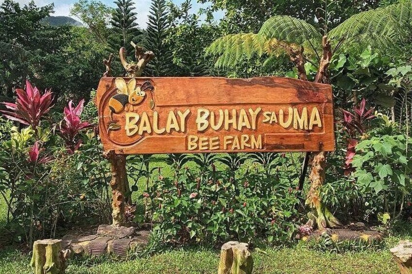 Balay Sa Uma Bee Farm 2