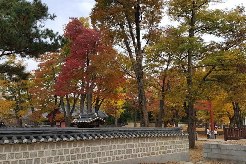 A traditional Korean pavilion surrounded by autumn trees. 1