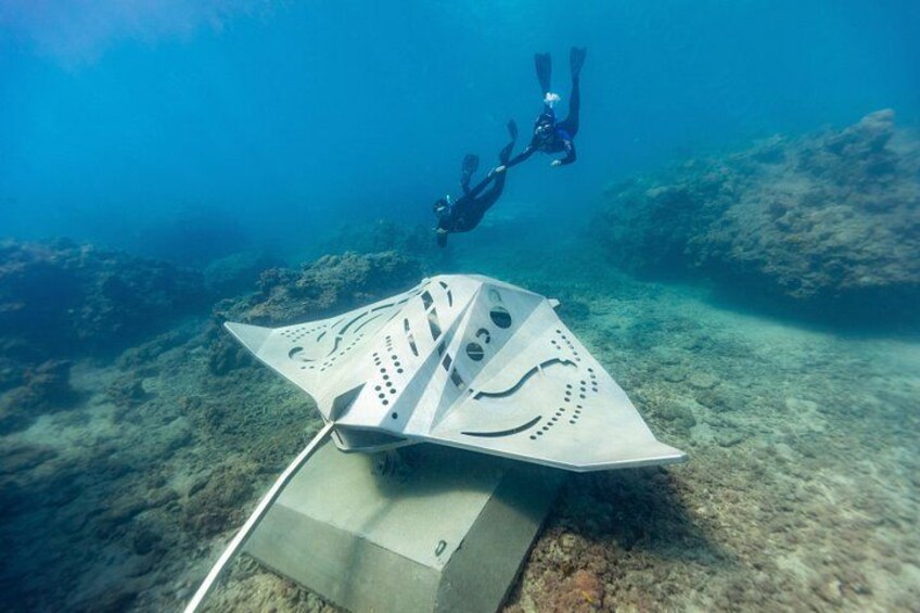 Rayglass Protector - Standard Private Charter - Whitsundays 5
