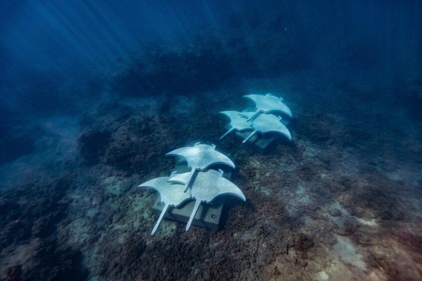 Rayglass Protector - Standard Private Charter - Whitsundays 2