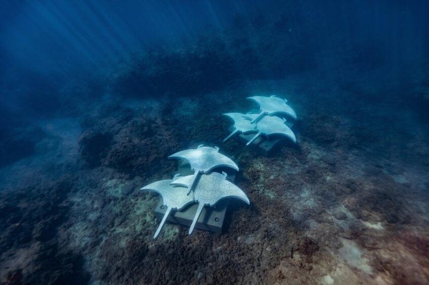 Rayglass Protector - Standard Private Charter - Whitsundays 5
