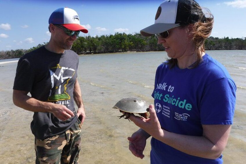 Two people holding a turtle near a body of water. 1